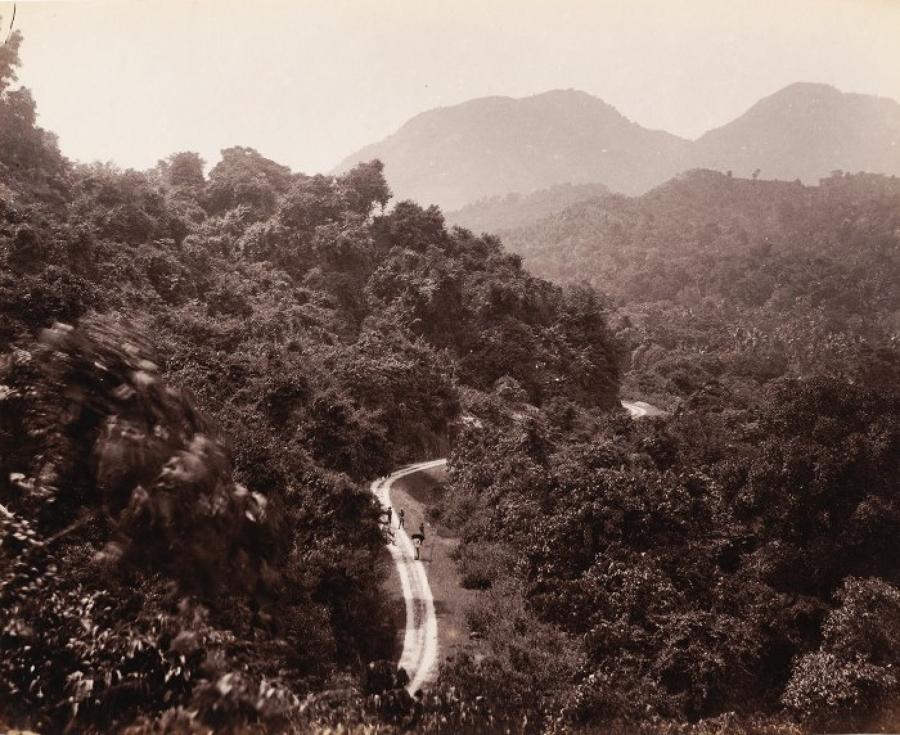On the way to Candy from Colombo Ceylon C1880