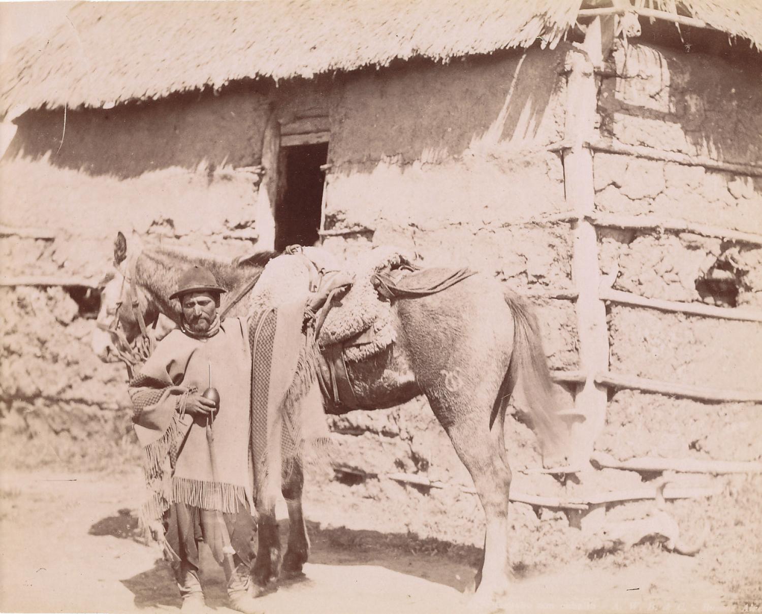 A Gaucho with His Horse Argentina C1890