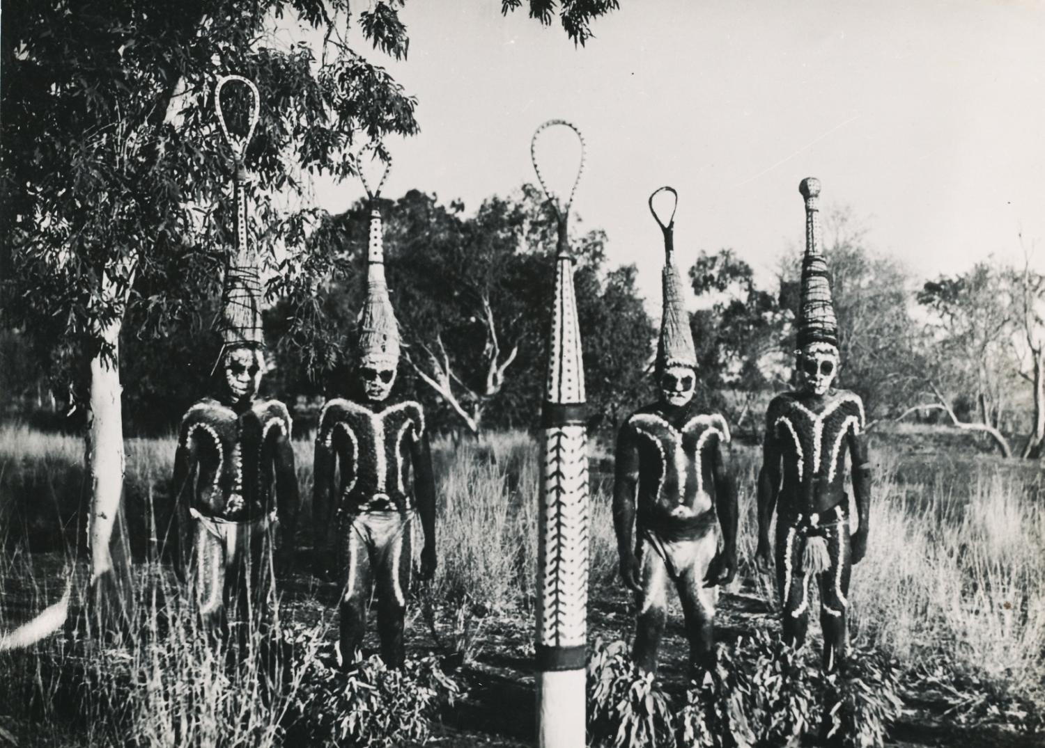 Aboriginal in Corroboree dress. Australia