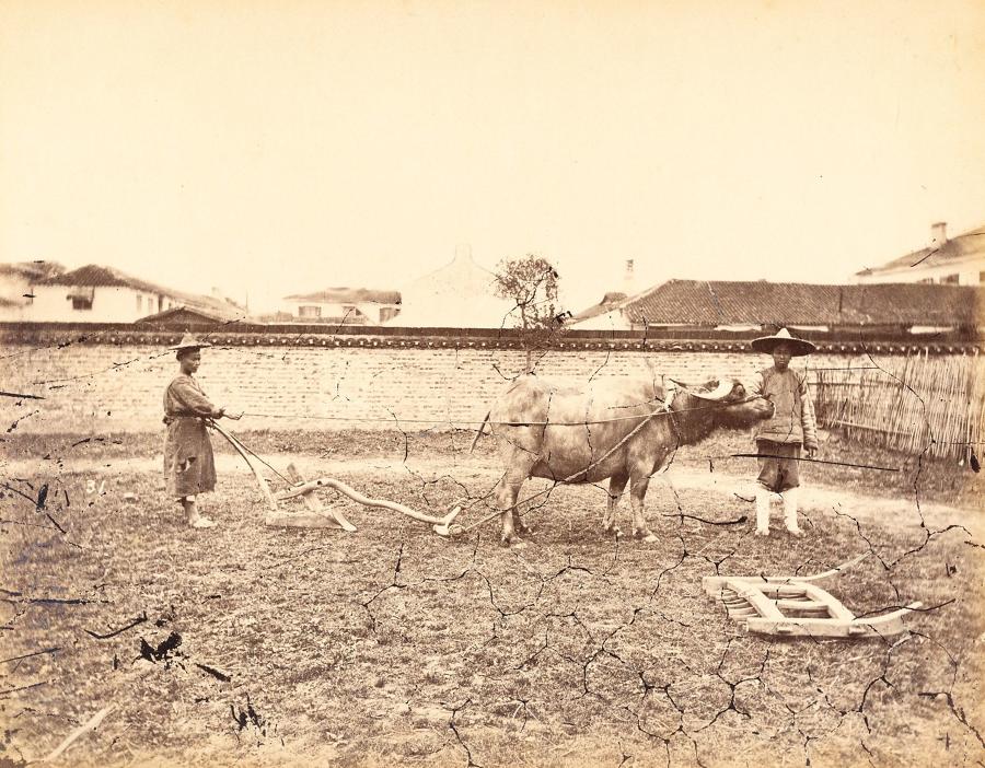 Farmer Polwing the Field Shanghai China William Saunders