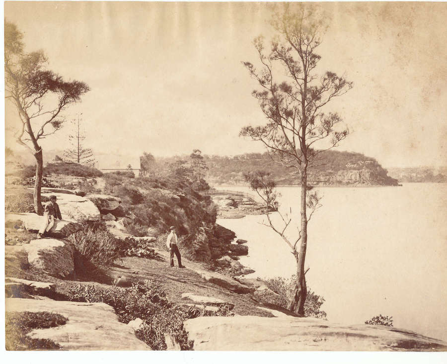 View of  Australia Sydney By John Paine C1880